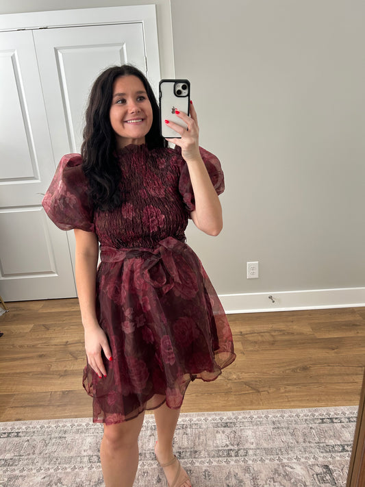 Smocked Rosette Sheer Mini Dress