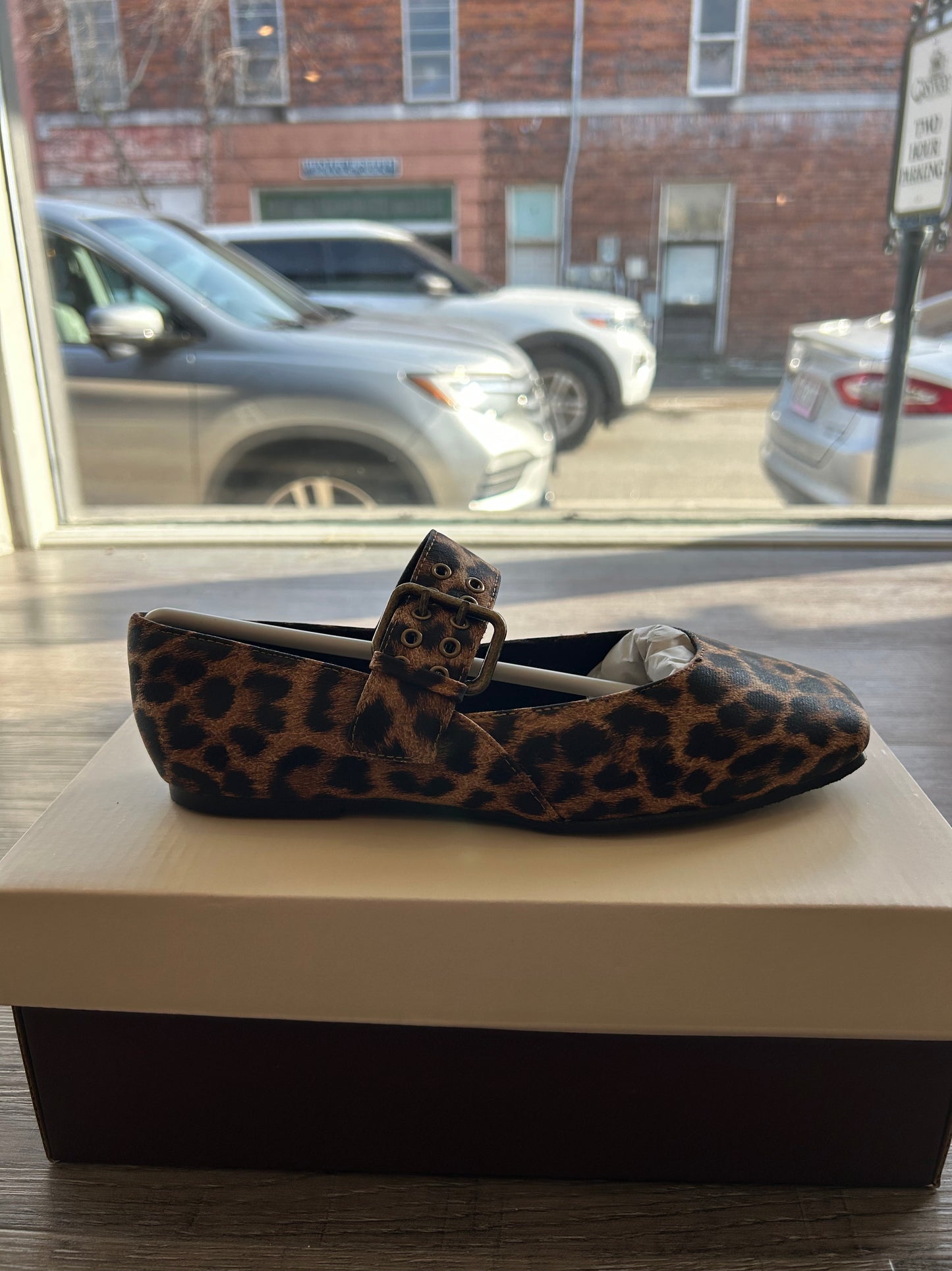 Leopard Ballet Flat