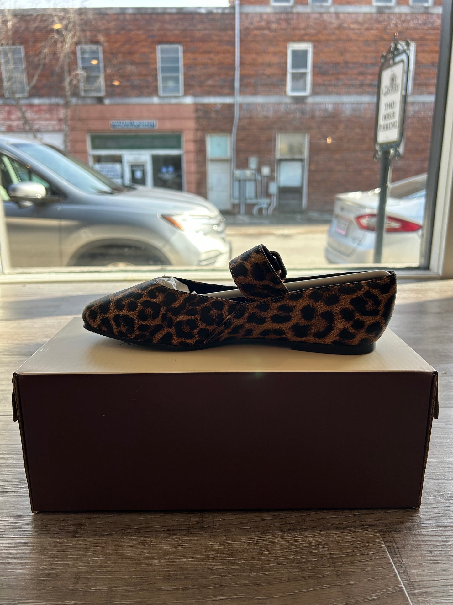 Leopard Ballet Flat
